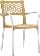 Bella Silla con Brazo